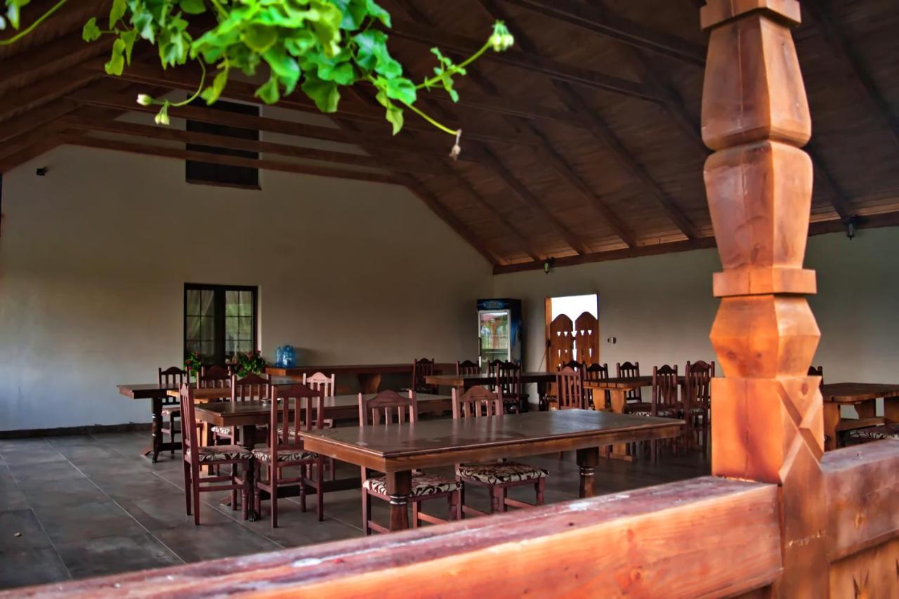 Hotel Conacul Cosaului Feresti Exteriér fotografie